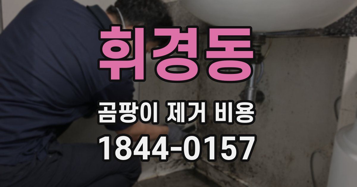 휘경동 곰팡이 제거 비용