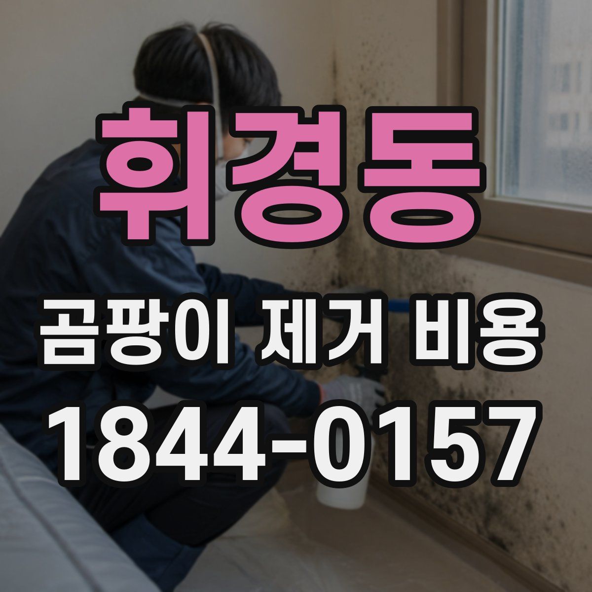 휘경동 곰팡이 제거 비용
