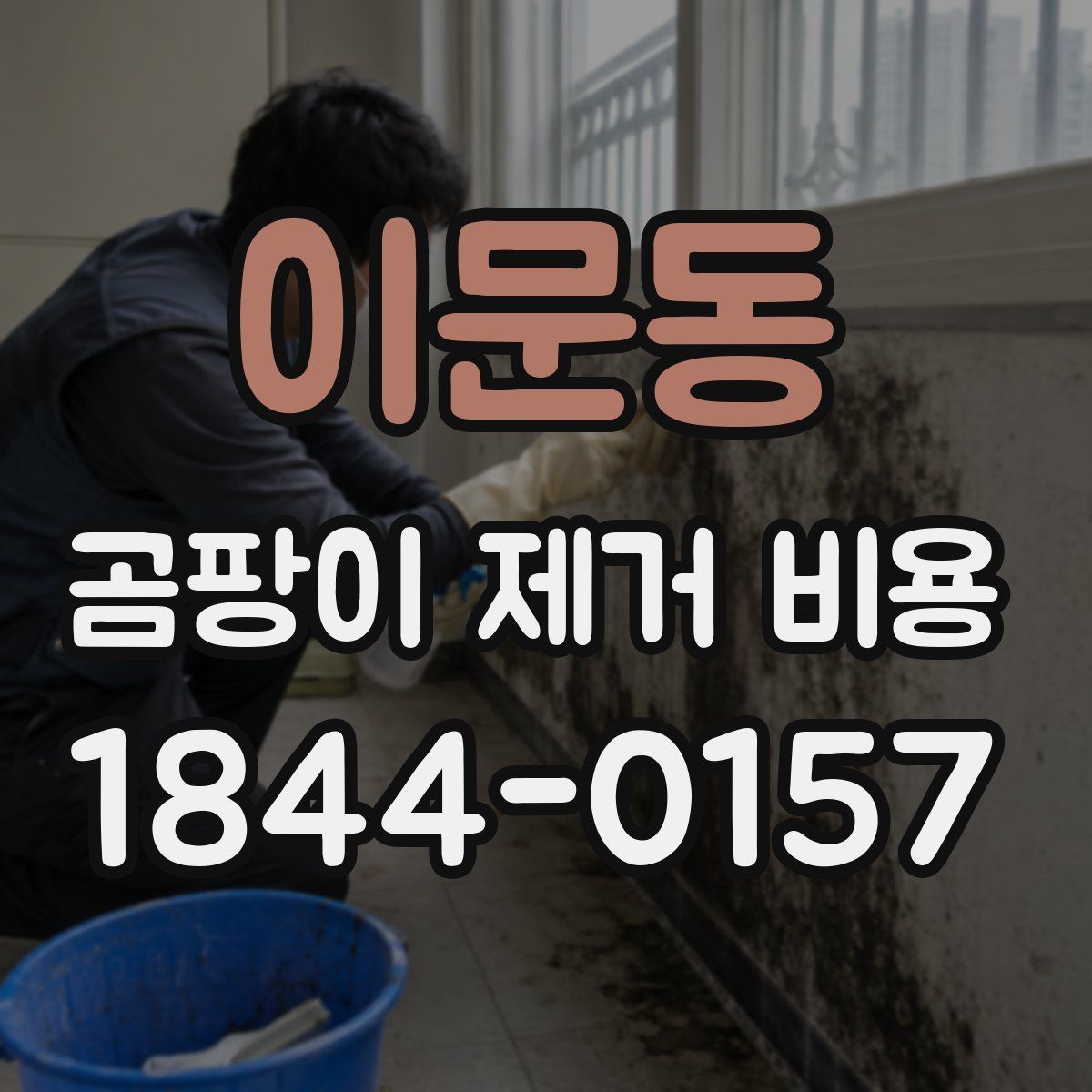 이문동 곰팡이 제거 비용
