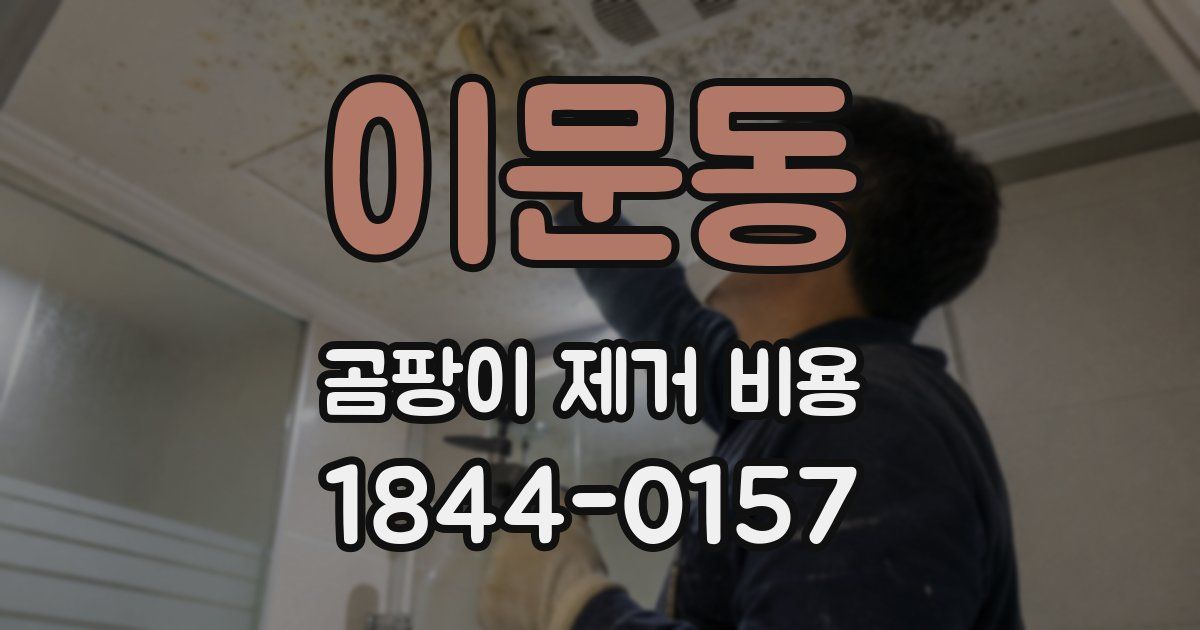이문동 곰팡이 제거 비용