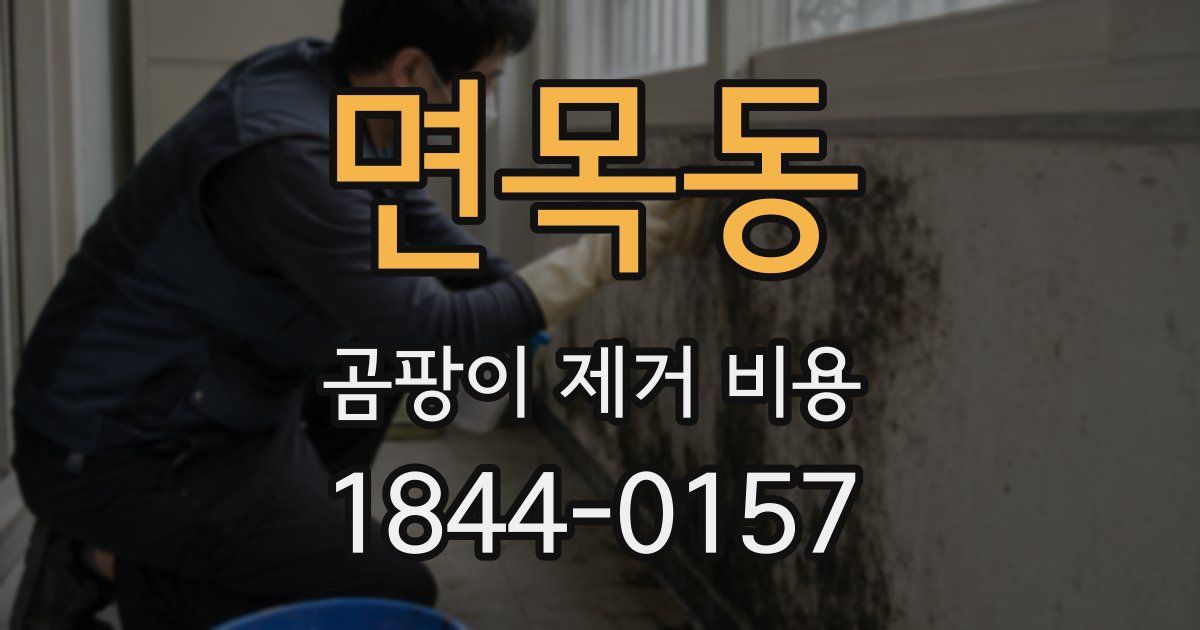 면목동 곰팡이 제거 비용