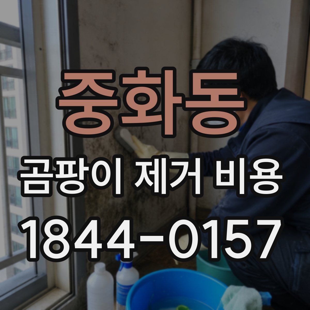 중화동 곰팡이 제거 비용