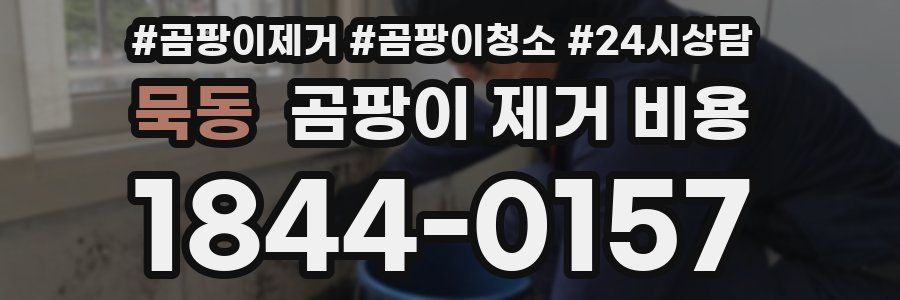 묵동 곰팡이 제거 비용