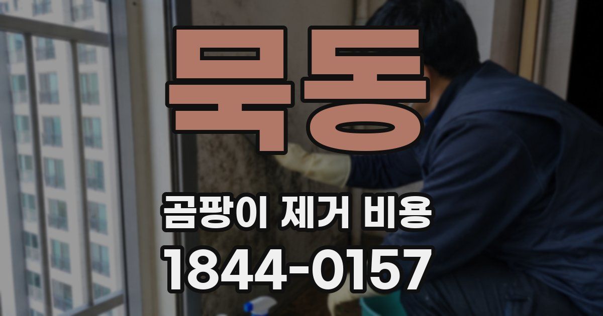 묵동 곰팡이 제거 비용