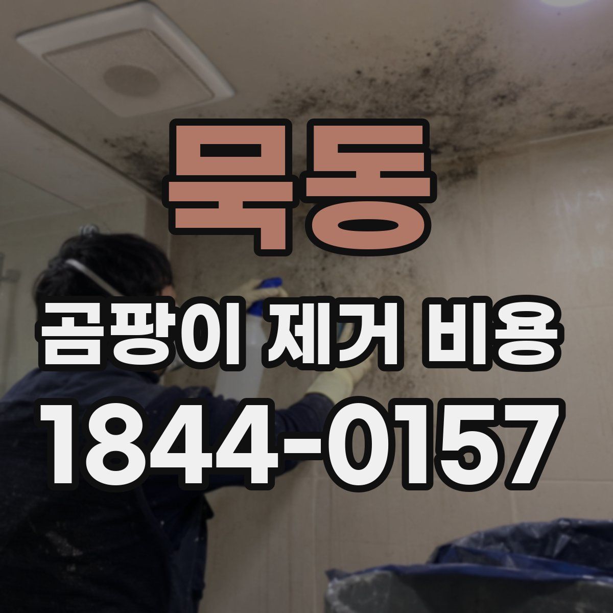 묵동 곰팡이 제거 비용