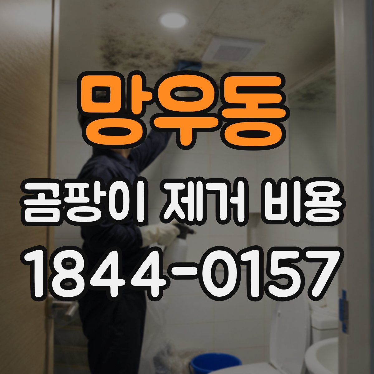 망우동 곰팡이 제거 비용