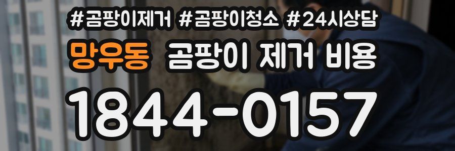 망우동 곰팡이 제거 비용