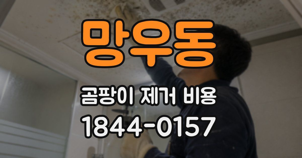 망우동 곰팡이 제거 비용