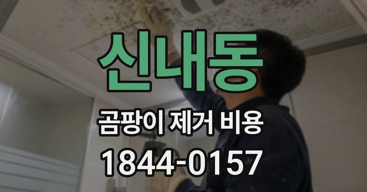 신내동 곰팡이 제거 비용