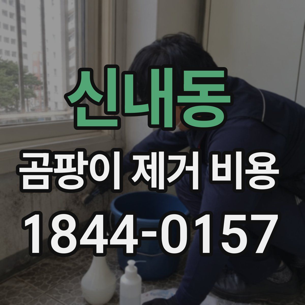 신내동 곰팡이 제거 비용