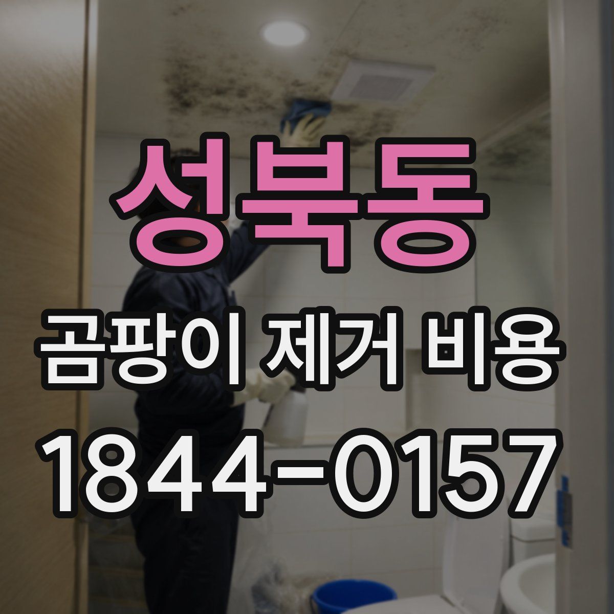 성북동 곰팡이 제거 비용