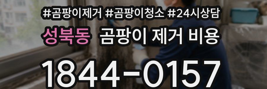 성북동 곰팡이 제거 비용