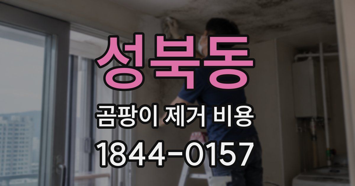 성북동 곰팡이 제거 비용