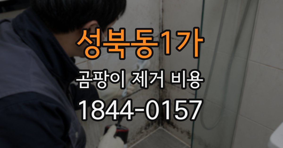 성북동1가 곰팡이 제거 비용