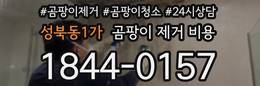 성북동1가 곰팡이 제거 비용