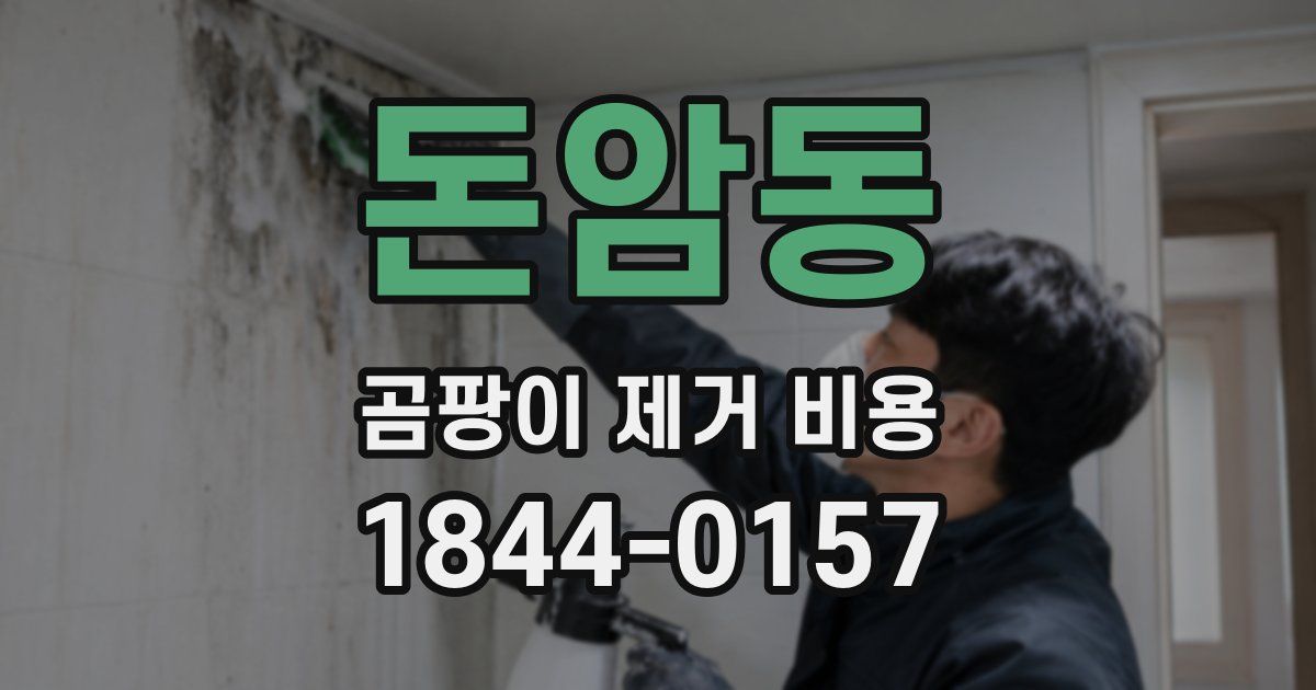 돈암동 곰팡이 제거 비용