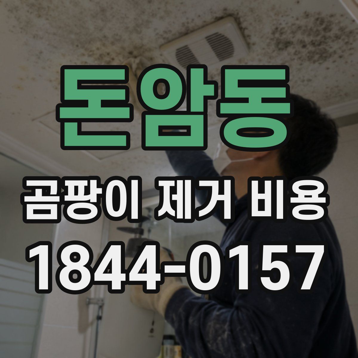 돈암동 곰팡이 제거 비용