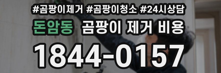 돈암동 곰팡이 제거 비용