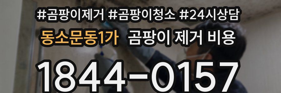 동소문동1가 곰팡이 제거 비용