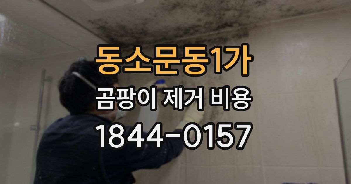 동소문동1가 곰팡이 제거 비용