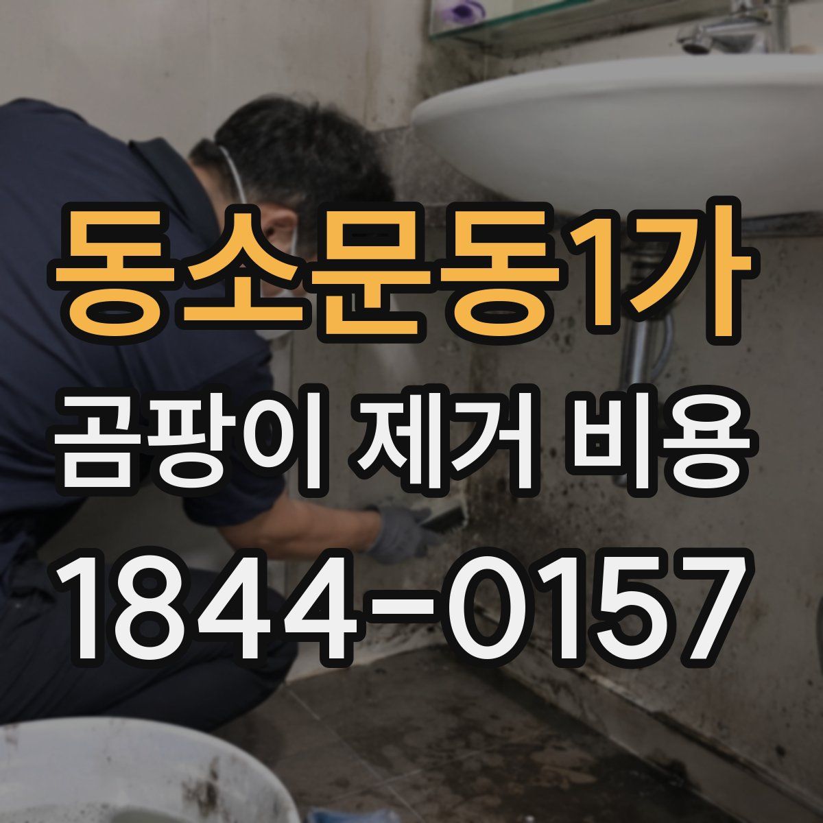 동소문동1가 곰팡이 제거 비용