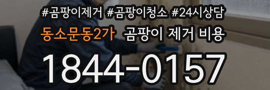 동소문동2가 곰팡이 제거 비용