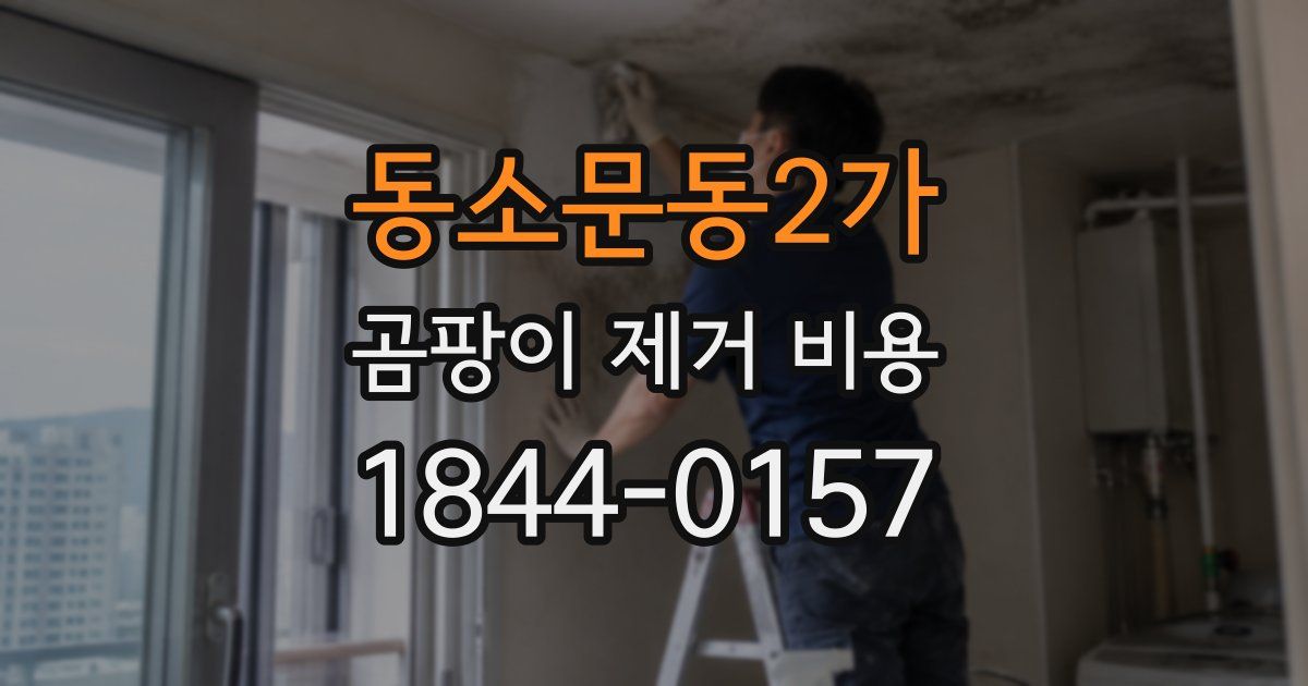 동소문동2가 곰팡이 제거 비용