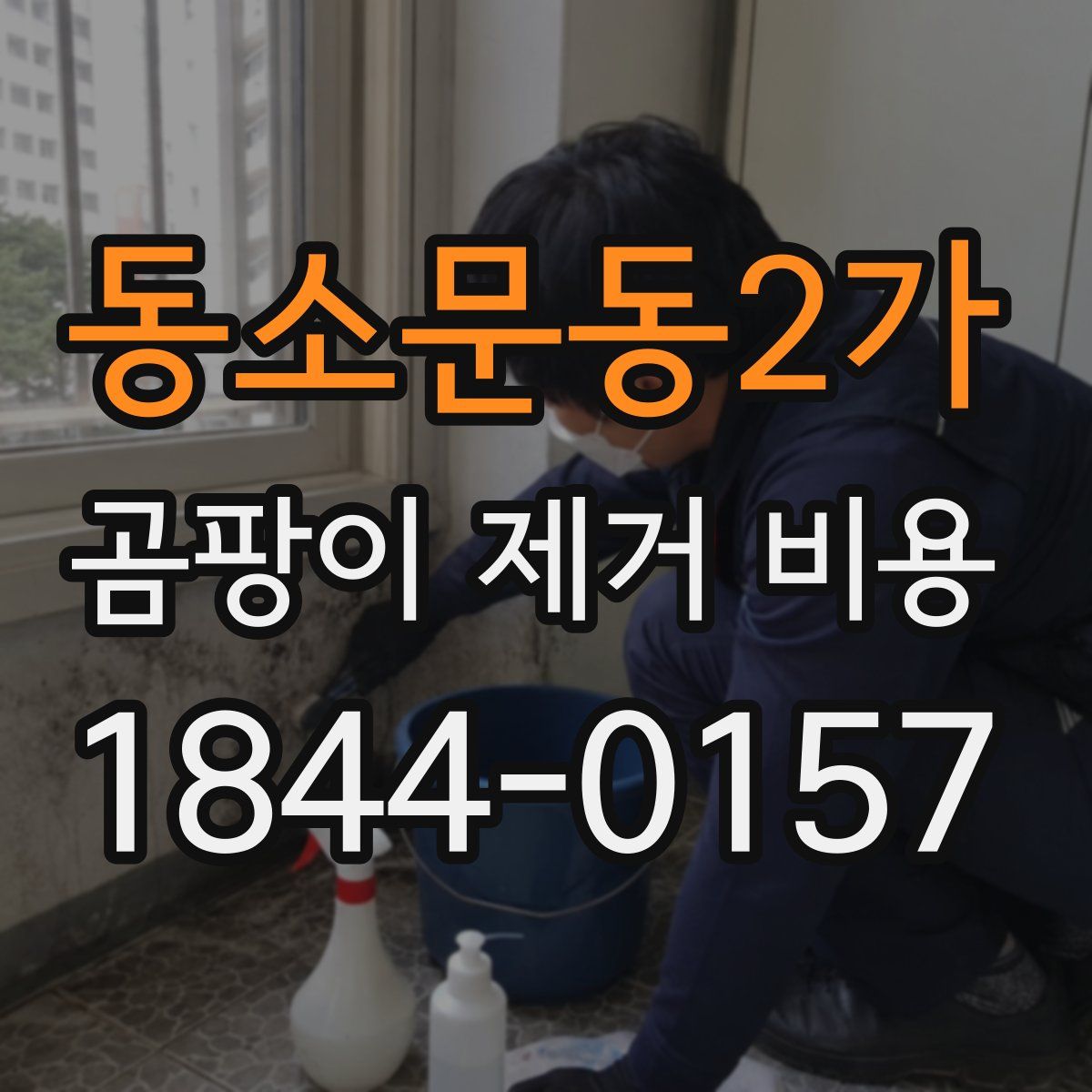 동소문동2가 곰팡이 제거 비용