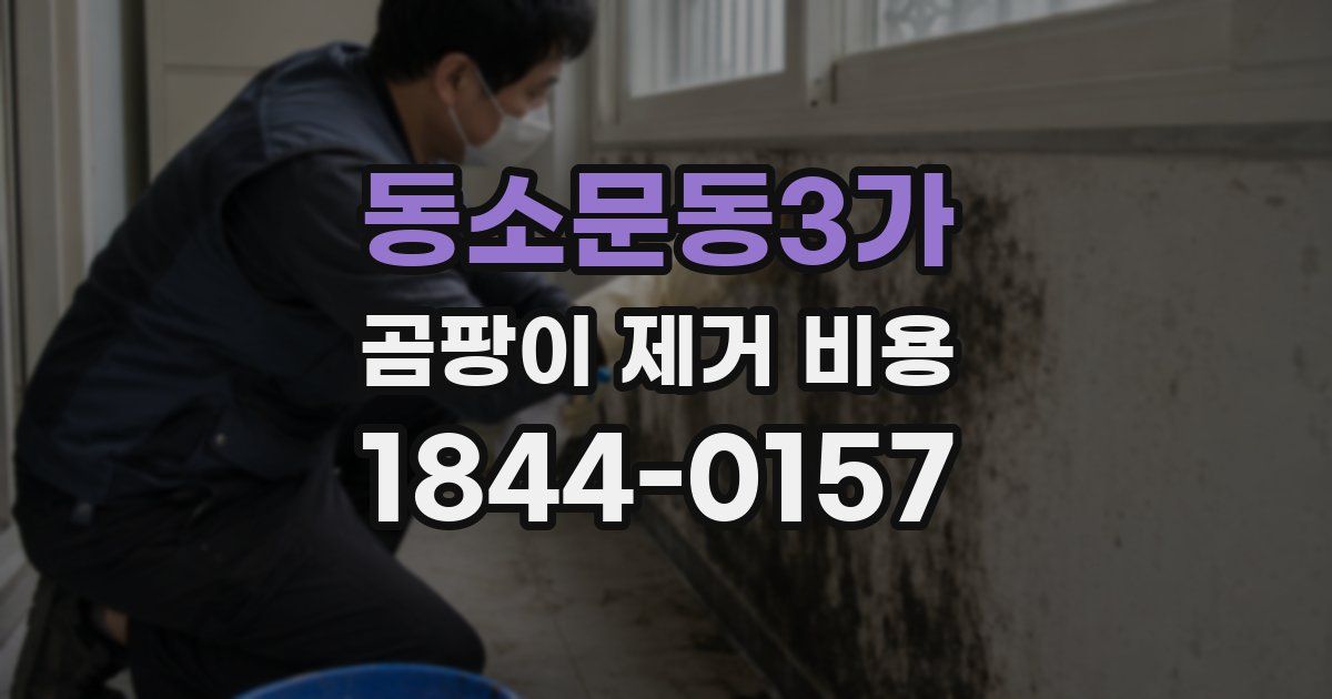 동소문동3가 곰팡이 제거 비용