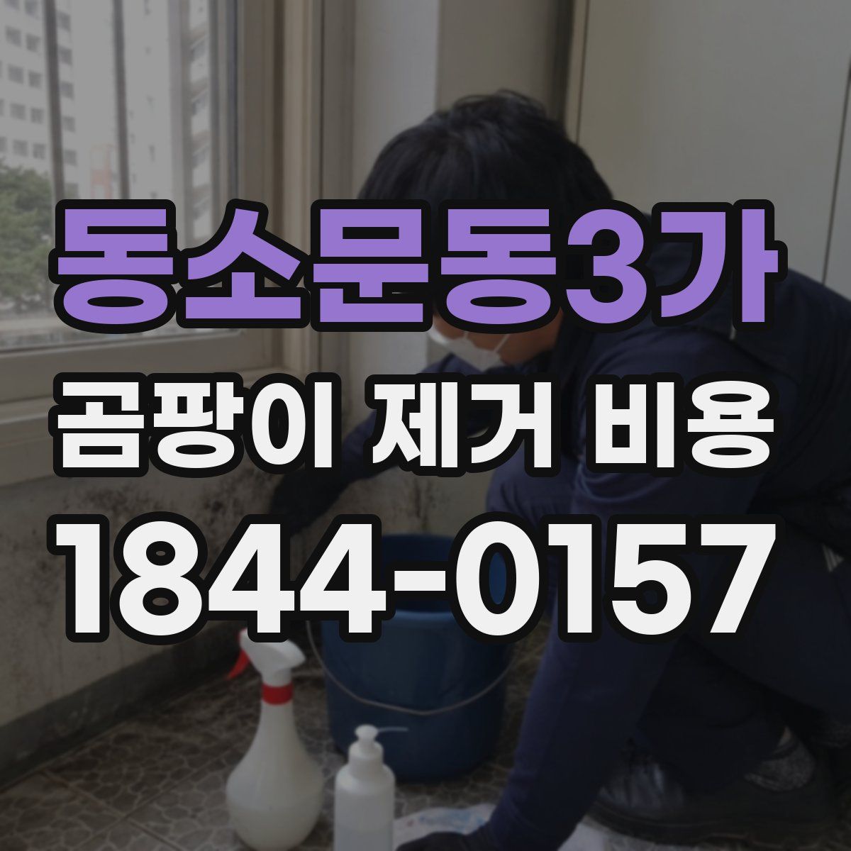 동소문동3가 곰팡이 제거 비용