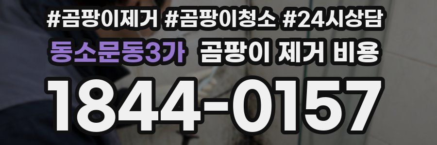 동소문동3가 곰팡이 제거 비용