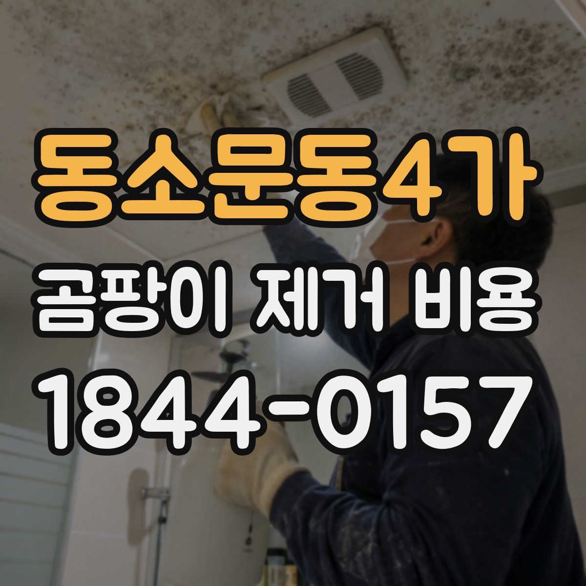 동소문동4가 곰팡이 제거 비용