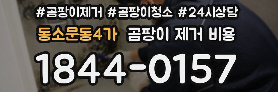 동소문동4가 곰팡이 제거 비용