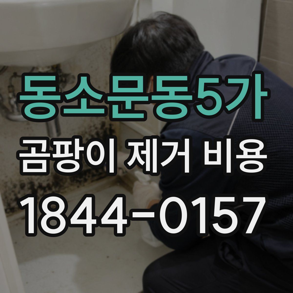 동소문동5가 곰팡이 제거 비용