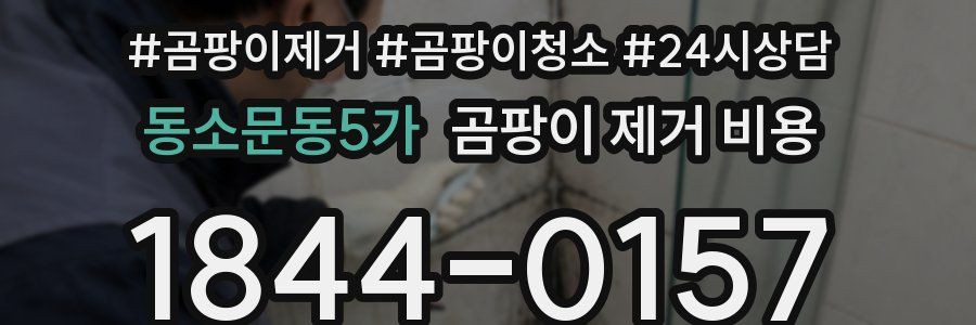 동소문동5가 곰팡이 제거 비용