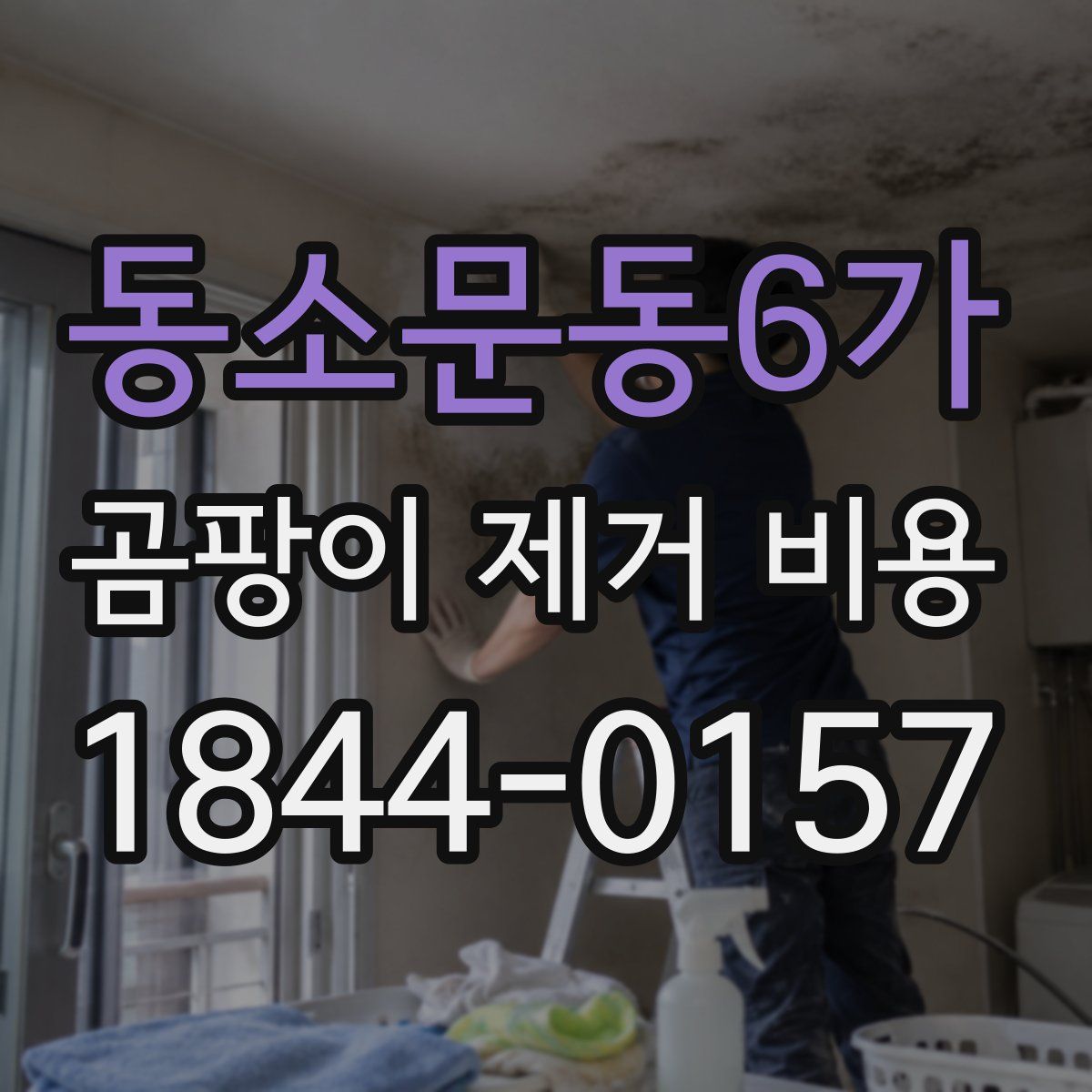 동소문동6가 곰팡이 제거 비용