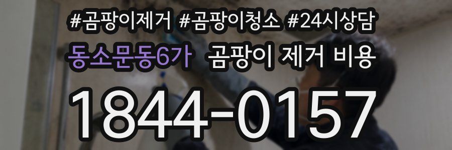 동소문동6가 곰팡이 제거 비용