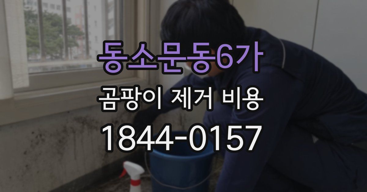 동소문동6가 곰팡이 제거 비용