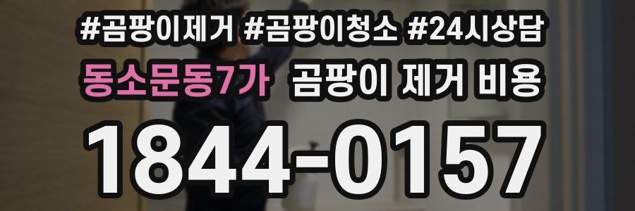 동소문동7가 곰팡이 제거 비용