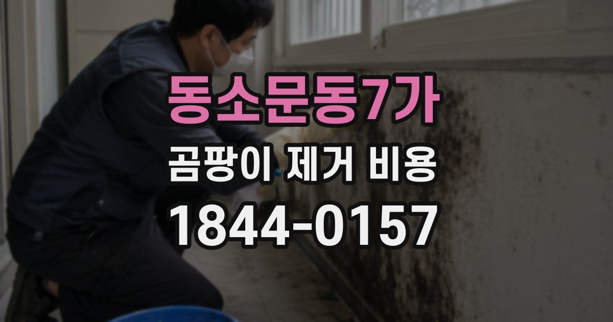 동소문동7가 곰팡이 제거 비용