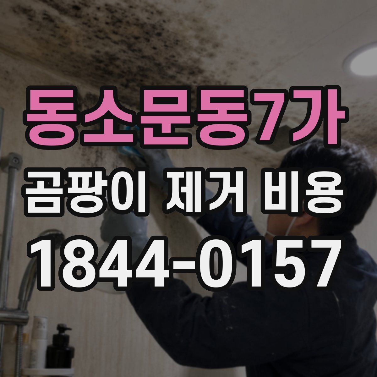 동소문동7가 곰팡이 제거 비용