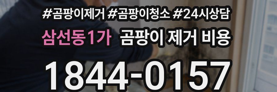 삼선동1가 곰팡이 제거 비용