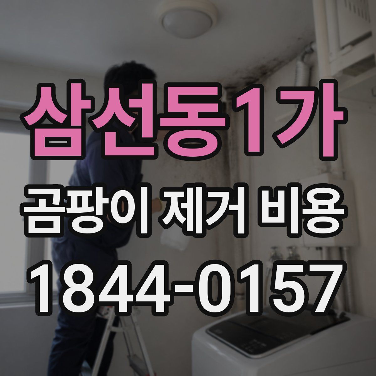 삼선동1가 곰팡이 제거 비용