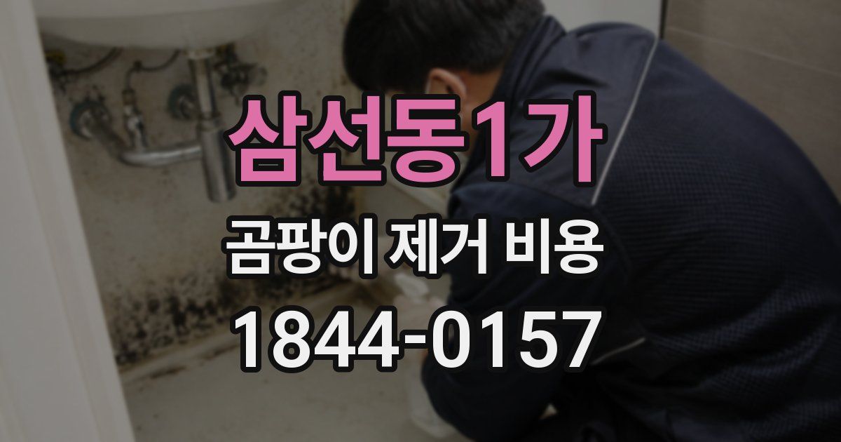 삼선동1가 곰팡이 제거 비용