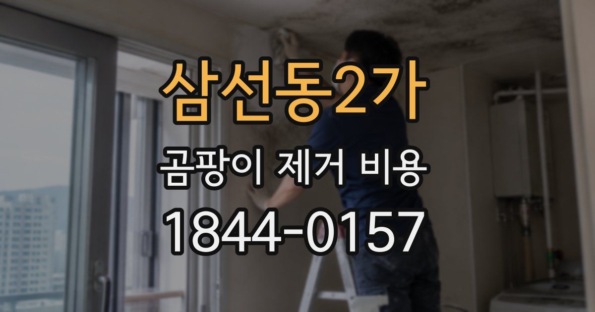 삼선동2가 곰팡이 제거 비용