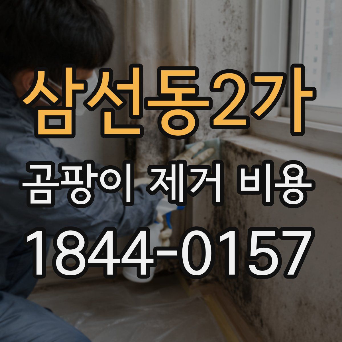 삼선동2가 곰팡이 제거 비용
