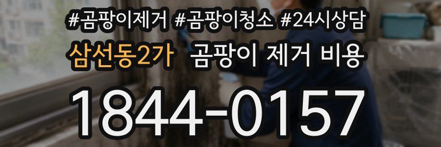 삼선동2가 곰팡이 제거 비용