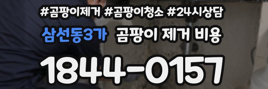 삼선동3가 곰팡이 제거 비용