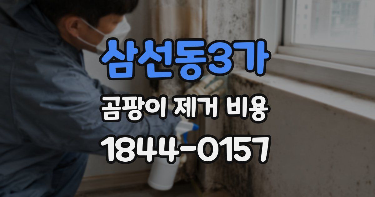 삼선동3가 곰팡이 제거 비용