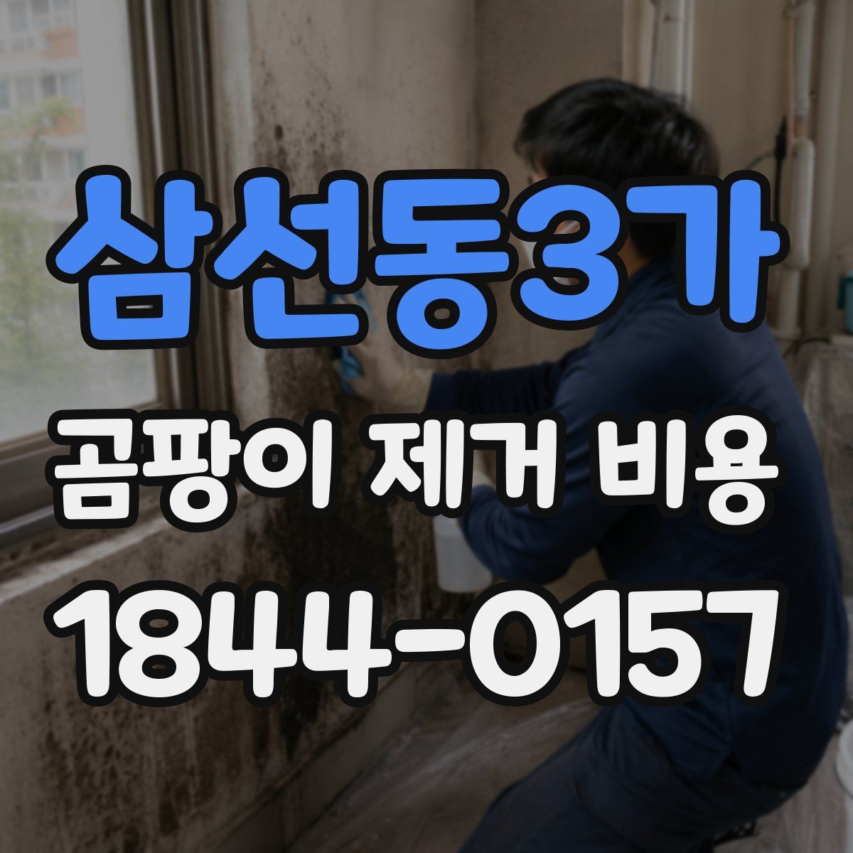 삼선동3가 곰팡이 제거 비용